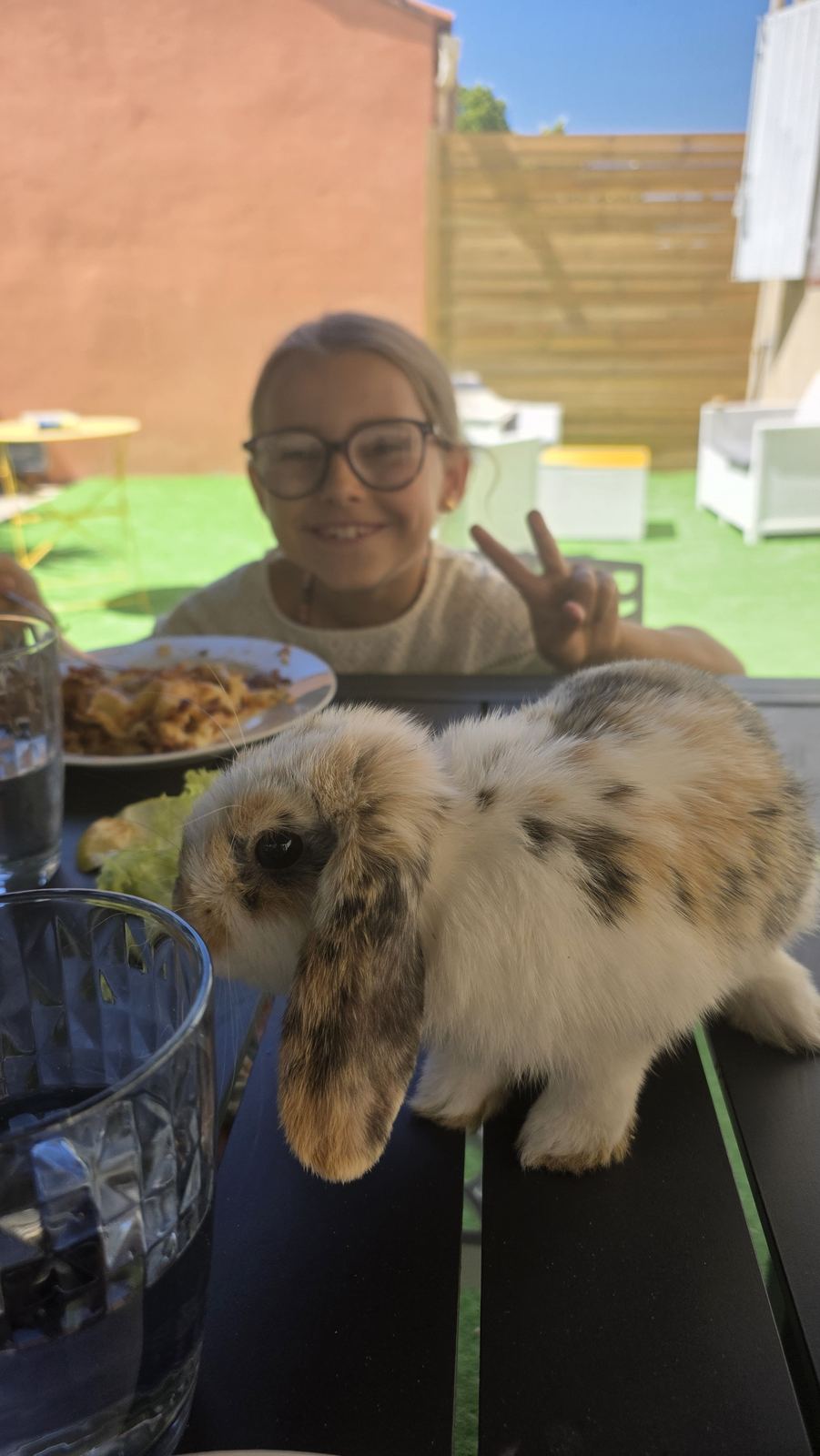 Léa et Foly, la lapine de la famille